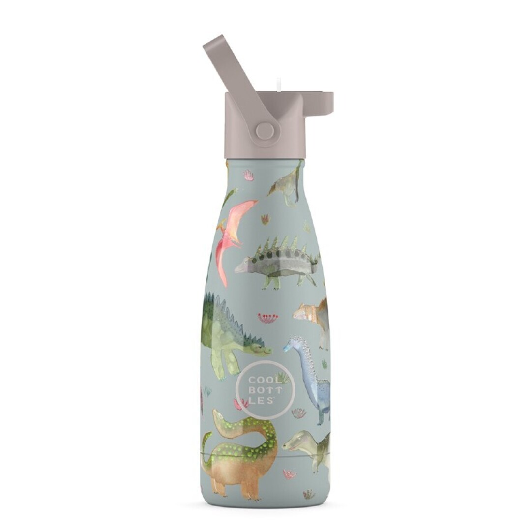 Cool bottles 260 ml - Dinos Planet