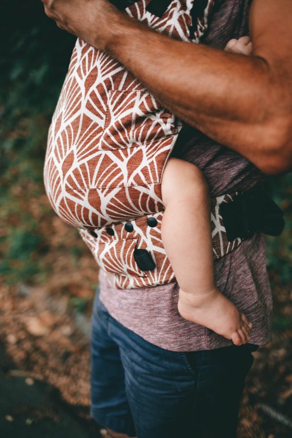 5a56bc1879124095bf5dc2e9ef65242d-600x900