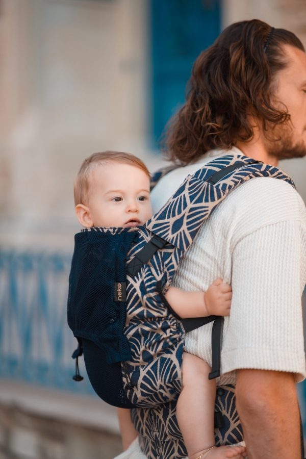 dbdfe51e87dc4042ad4210507e4d9e4c-600x900