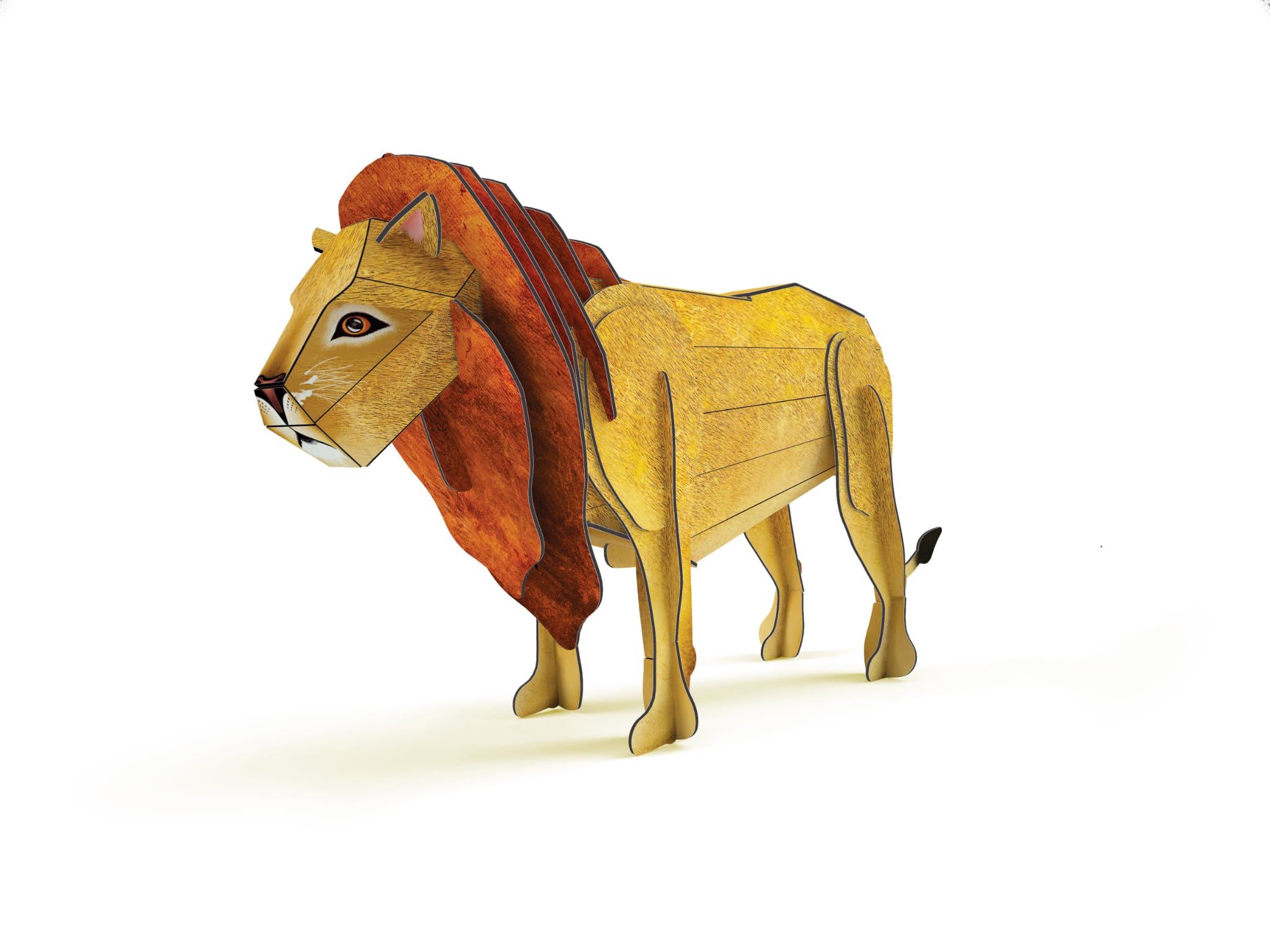 WhatsApp Image 2026-02-04 at 12.56.39