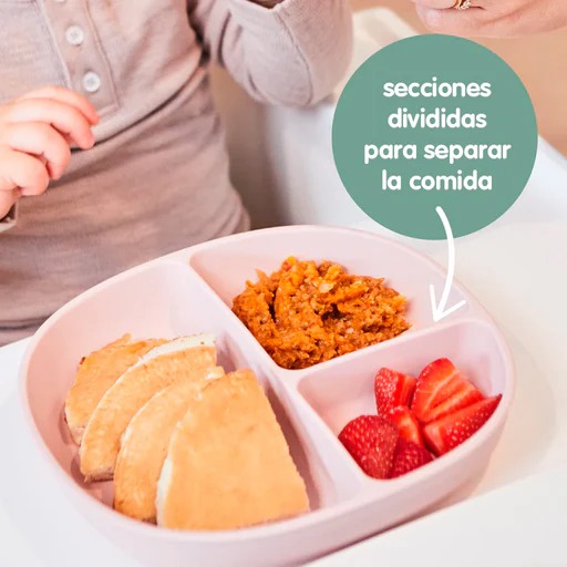 WhatsApp Image 2026-02-19 at 19.53.48